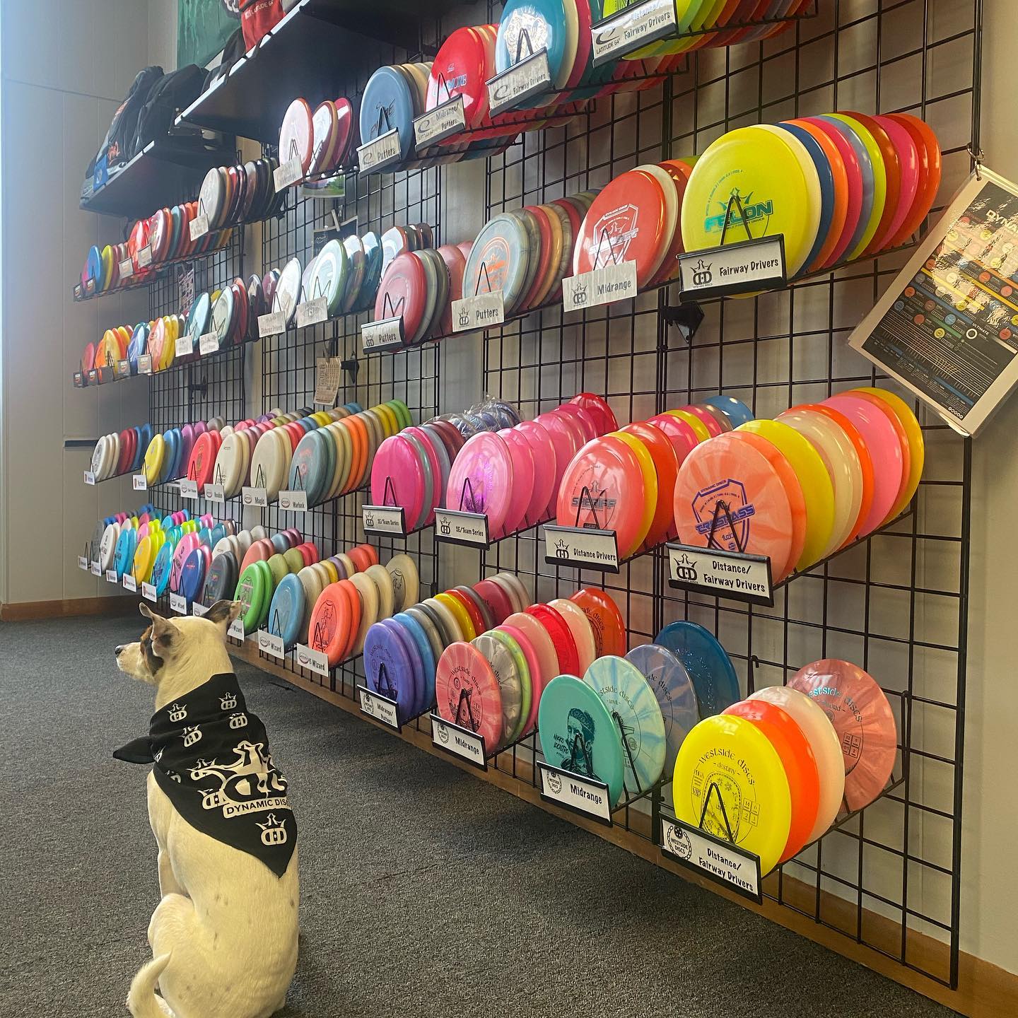 Death Putt Disc Supply's photo