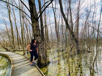 An image from the Shaw Wetlands